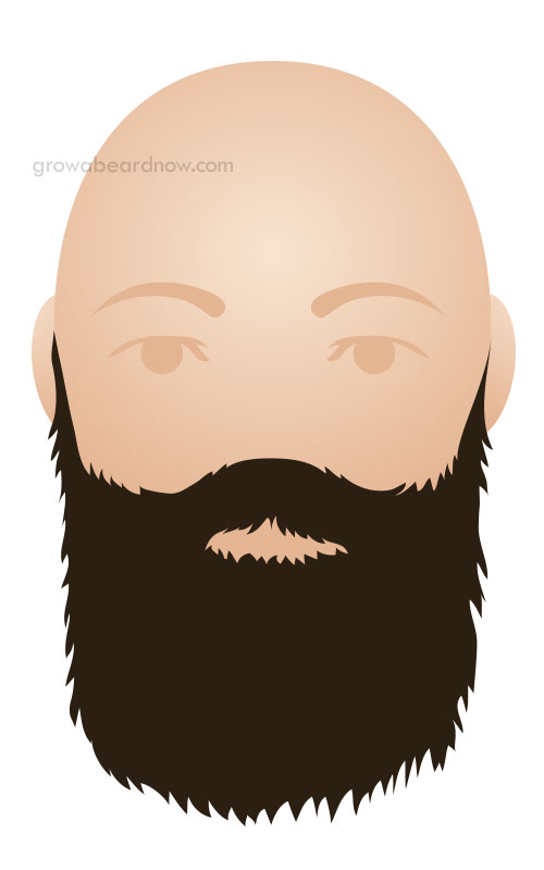 long-beard-styles